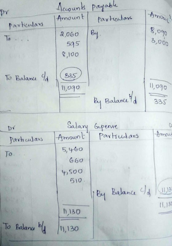 1 Amou particulars . Accounts payable Amount particulars 2,060 By. 595 8,100 8,ogo To 3,000 To Balance la 835 logo logo Balan