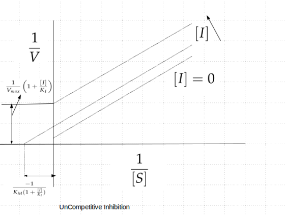 1 V = 0 I] 1+ KJ 1 Vimax 1 S] -1 Км(1 + ) UnCompetitive Inhibition