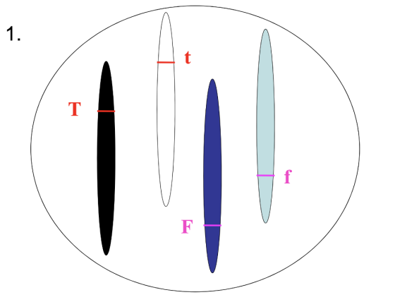 1. T f F