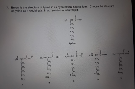 7. Below is the structure of lysine in its hypothetical neutral form. Choose the structure of lysine as it would exist in aq.