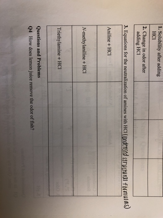 ea 1. Solubility after adding HCl 2. Change in odor after adding HCl 3. Equations for the neutralization of amines with HCI (