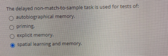 The delayed non-match-to-sample task is used for tests of: O autobiographical memory. O priming, explicit memory ospatial lea