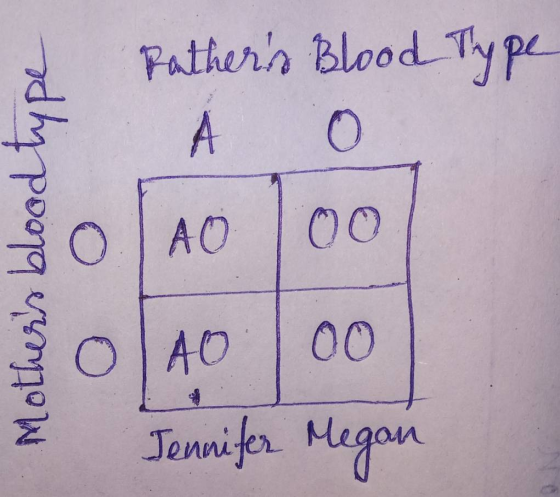 Rathers Blood Type O A Mothers blood type O АО O AO 00 Jennifer Megan