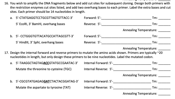 Tm: Tm: 16. You wish to amplify the DNA fragments below and add cut sites for subsequent cloning. Design both primers with th