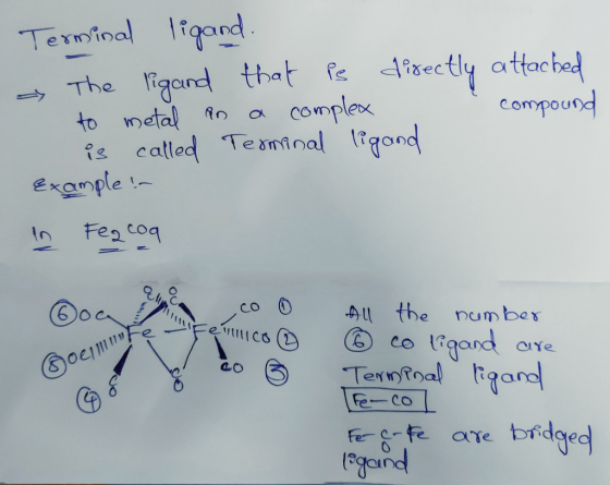 What Is A TERMINAL LIGAND ZuoTi Pro