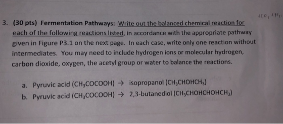 3. (30 pts) Fermentation Pathways: Write out the balanced chemical reaction for each of the following reactions listed, in ac