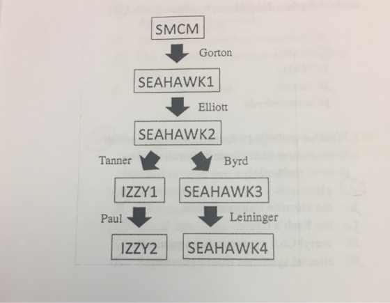 SMCM Gorton SEAHAWK Elliott SEAHAWK2 Tanner Byrd I