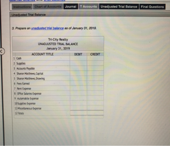Journal T Accounts Unadjusted Trial Balance Final Questions Chart of Accounts Instructions Unadjusted Trial Balance 3. Prepar