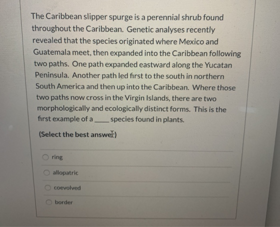 The Caribbean slipper spurge is a perennial shrub found throughout the Caribbean. Genetic analyses recently revealed that the