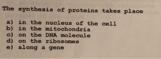 The synthesis of proteins takes place a) in the nucleus of the cell b) in the mitochondria on the DNA molecule on the ribosom