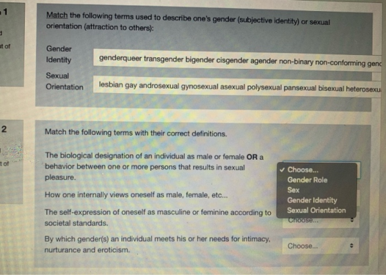 Match the following terms used to describe ones gender (subjective identity) or sexual orientation (attraction to others): a