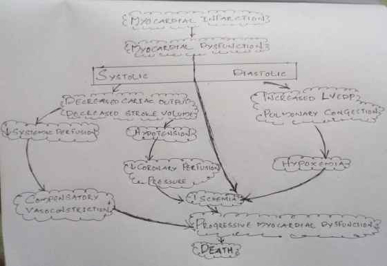 CMYCARDrAc INFARCTION YDCARDI A DysfUNCTIO3 ByeToLIe DIASTOLIC STOLIE TCREASED LVEDP2 TecREASE CARI Ac OUTP pecte ASED STROkE