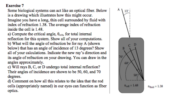 Some biological systems can act like an optical fi