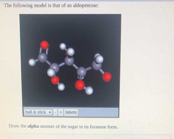 The following model is that of an aldopentose: ball & stick - + labels Draw the alpha anomer of the sugar in its furanose for