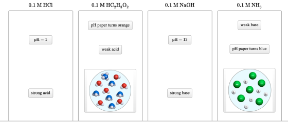 0.1 M HCI 0.1 M HC,H,O, | 0.1 M NaOH 0.1 M NH, er turns orange weak base pH=1 pH = 13 weak acid pH paper turns blue strong ac