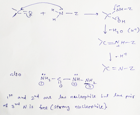 Je + M N — 2 — .. NH-2 t-tho Cut) >C=NH-2 J-H* Y =N-2 also Nrz-C-NH - NH NH 2 - love pair ist and and are low neeleophile but
