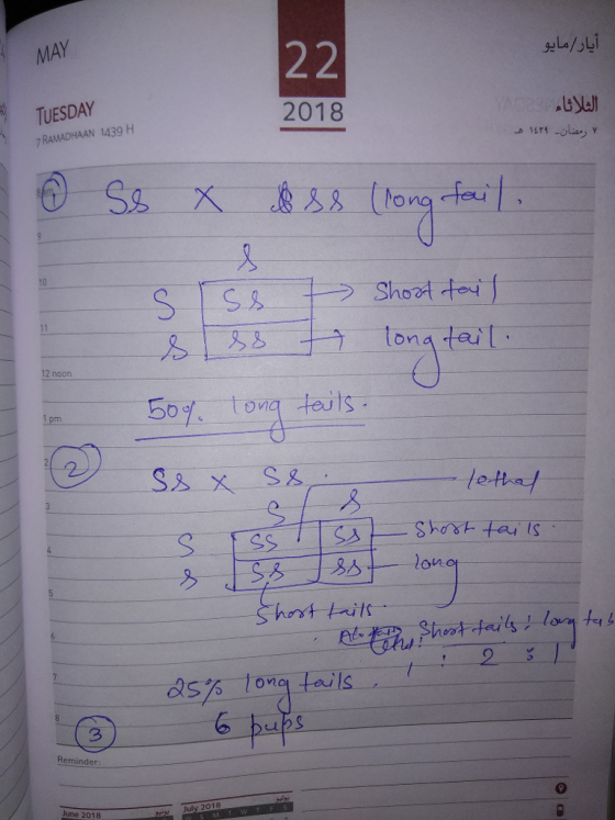 MAY 2018 TUESDAY 7 RAMADHAAN 1439 H o na lona tai 12 noon oonq tels i pm letta 3 Reminder 0 2018 S AM June 20138