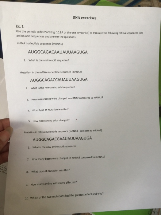 DNA exercises Ex. 1 Use the genetic code chart (Fig. 10.8A or the one in your LN) to translate the following mRNA sequences i
