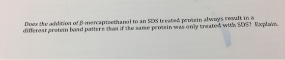 Does the addition of B-mercaptoethanol to an SDS treated protein always result in a different protein band pattern than if the same protein was only treated with SDS? Explain.
