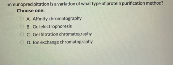Immunoprecipitation is a variation of what type of protein purification method? Choose one: O A. Affinity chromatography O B.
