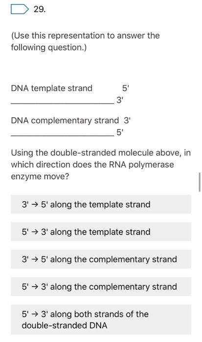 29. (Use this representation to answer the following question.) DNA template strand 5 3 DNA complementary strand 3 5 Using