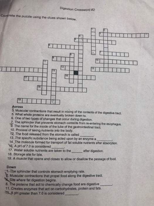 Digestion Crossword #2 Complete the puzzle using the clues shown below. MITH TUID Across 3. Muscular contractions that result