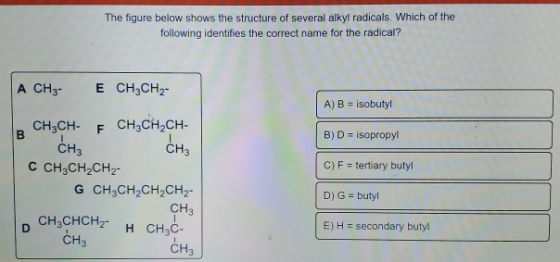 The figure below shows the structure of several alkyl radicals. Which of the following identifies the correct name for the ra