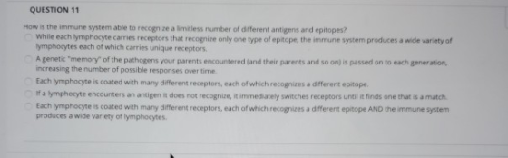 QUESTION 11 How is the immune system able to recognize a limitless number of different antigens and epitopes? While each lymp