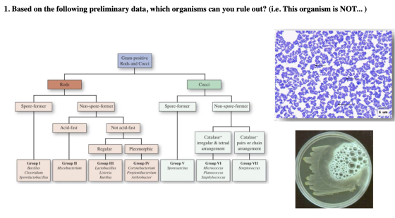 1. Based on the following preliminary data, which organisms can you rule out? (i.e. This organism is NOT... ) Gram-positive R