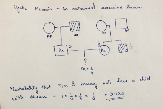 Cystic Fibrosis - An autosomal recessive disease Aa Aa QQ AA a = 1 J have a child Probability that with disease = Tim & manny