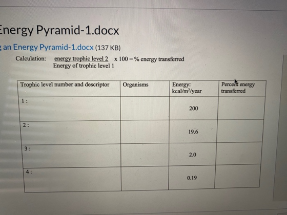 Energy Pyramid-1.docx an Energy Pyramid-1.docx (137 KB) Calculation: energy trophic level 2 x 100 =% energy transferred Energ