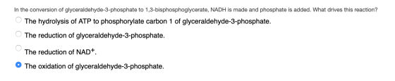 In the conversion of glyceraldehyde-3-phosphate to 1,3-bisphosphoglycerate, NADH is made and phosphate is added. What drives