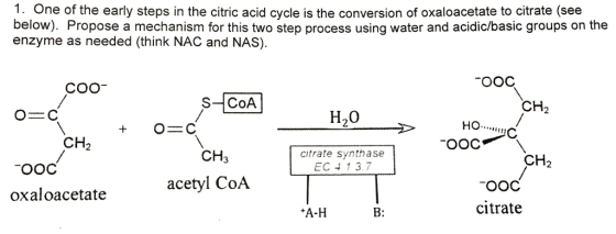 1. One of the early steps in the citric acid cycle