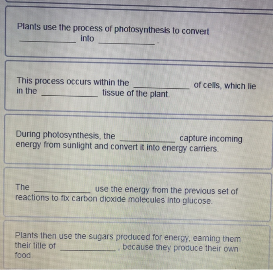 Plants use the process of photosynthesis to convert into This process occurs within the in the tissue of the plant. of cells,