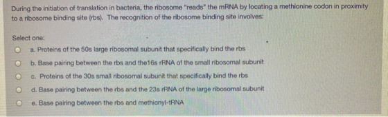 During the initiation of translation in bacteria, the ribosome reads the mRNA by locating a methionine codon in proximity to