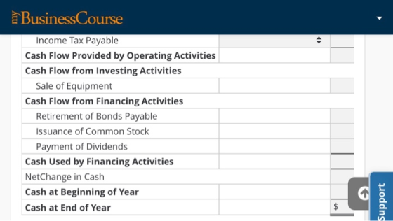 Business Course Income Tax Payable Cash Flow Provided by Operating Activities Cash Flow from Investing Activities Sale of Equ