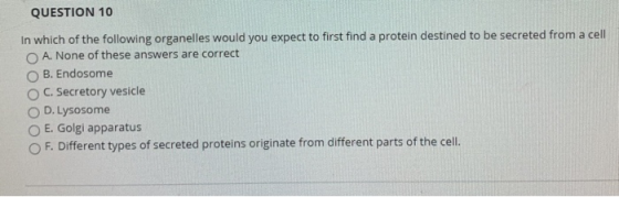 QUESTION 10 In which of the following organelles would you expect to first find a protein destined to be secreted from a cell