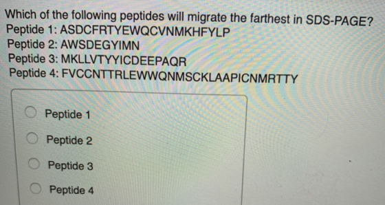 Which of the following peptides will migrate the farthest in SDS-PAGE? Peptide 1: ASDCFRTYEWQCVNMKHFYLP Peptide 2: AWSDEGYIMN