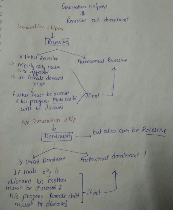 Generation skipped SS Recessive not dominant Generation skipped Recessive Autosoma Recessive X linked Recessive = Mostly only