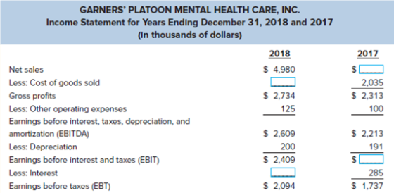 GARNERS PLATOON MENTAL HEALTH CARE, INC. Income Statement for Years Ending December 31, 2018 and 2017 (In thousands of dolla