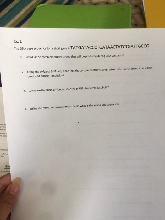 Ex. 2 The DNA base sequence for a short gene is TATGATACCCTGATAACTATCTGATTGCCG 1. What is the complementary strand that will