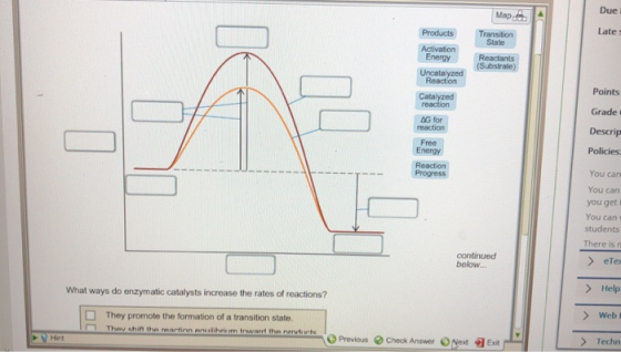 Due l Map ddb Late s Products State Activation Energy Reactants (Substrate) Points reaction Grade t G for Descrip Free Energy