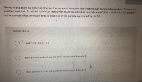 Check my work Genes A and B are so close together on the same chromosome that crossing-over occurs between A and B in only 1