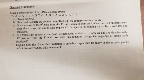 Question 5 (20 points) Make a transcription of the DNA template strand 5- A CATTAGTCA GTA GA CAT-3 a. To an mRNA? b. Read and translate the codons on m-RNA into the appropriate amino acids. c. If a mutation of the 9h base from the 3 end is mutated from an A-adenosine to T-thymine, how does this change the amino acid sequence? Be specific by redoing the problem with this one mutation. In a frame shift mutation, one base is either added or deleted. If now we add a G-Guanine to the 9th d. position from the 3 end, how does this mutation change the sequence of amino acids produced? e. Explain how this frame shift mutation is probably responsible for many of the enzyme genetic defect diseases? Show with an example