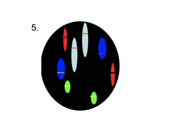 5.