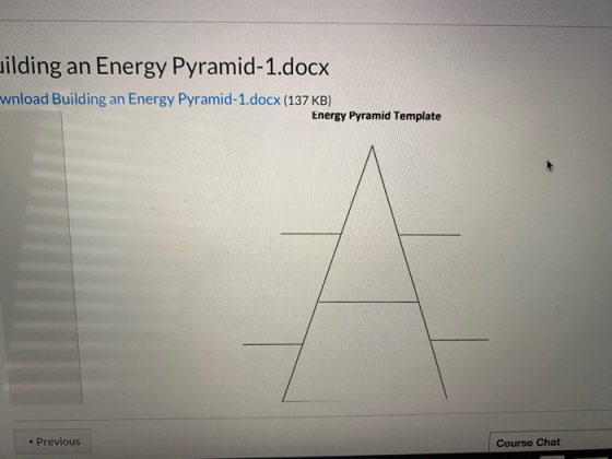 uilding an Energy Pyramid-1.docx wnload Building an Energy Pyramid-1.docx (137 KB) Energy Pyramid Template « Previous Course