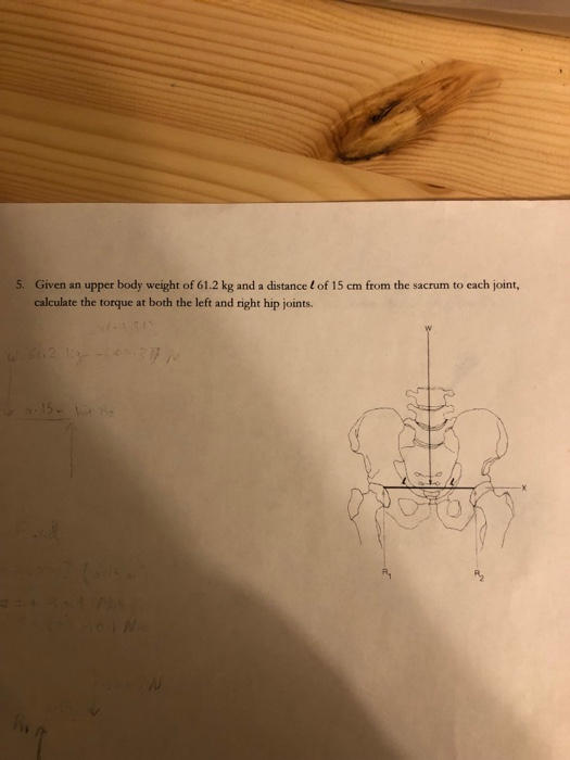 5. Given an upper body weight of 61.2 kg and a distance l of 15 cm from the sacrum to each joint, calculate the torque at both the left and right hip joints.