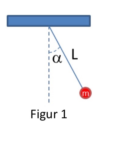 media%2F1f4%2F1f4d1903-67a1-4a8a-8aa4-1a
