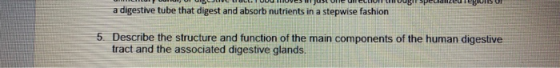LLO , U BLIVE LULL. UUvet julle UNELLIUM LUUgir specializeu regulS UL a digestive tube that digest and absorb nutrients in a