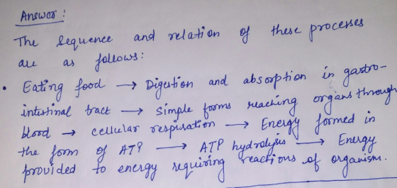 Answ Co The sequence and relation of these processes are as follows: • Eating food → Digestion and absorption in gastro- inte